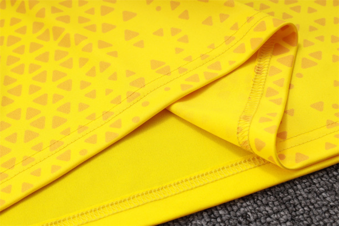 Borussia Dortmund Training Jersey 23/24