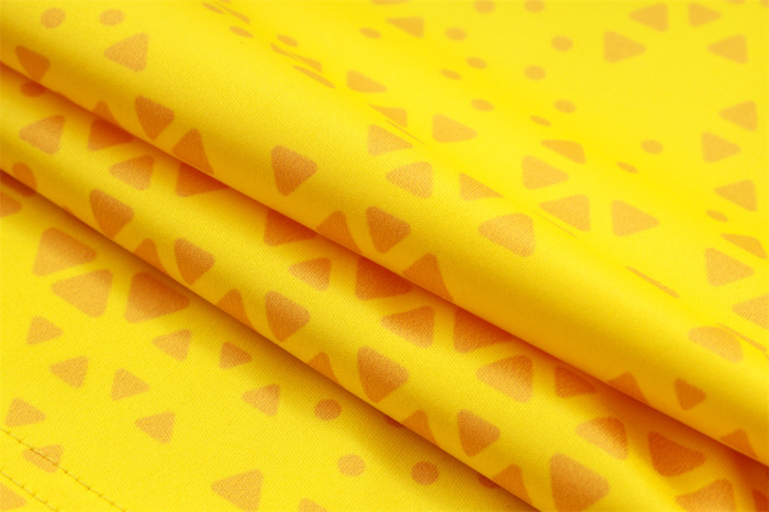 Borussia Dortmund Training Jersey 23/24