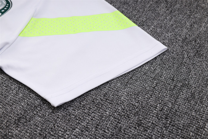 Palmeiras POLO Jersey 23/24