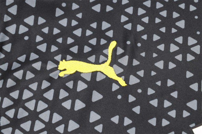 Borussia Dortmund Training Jersey 23/24