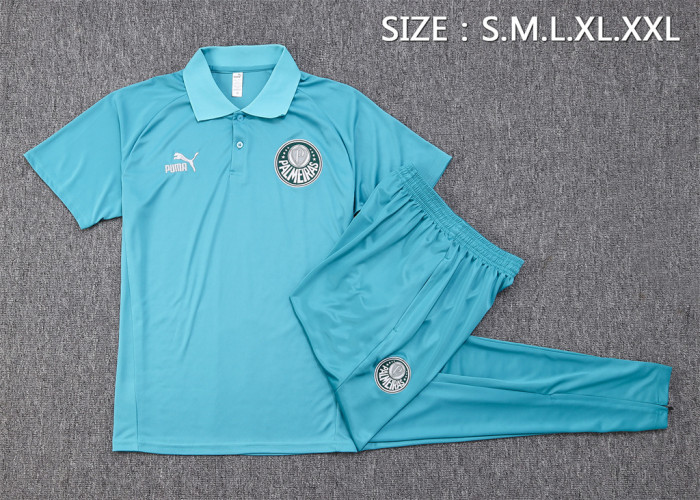 Palmeiras POLO Jersey 23/24