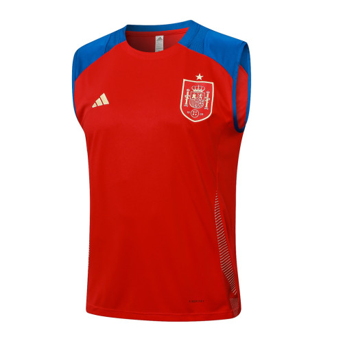 Spain Training Jersey 24/25