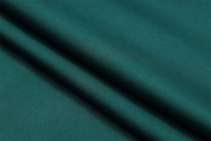 Palmeiras POLO Jersey 23/24