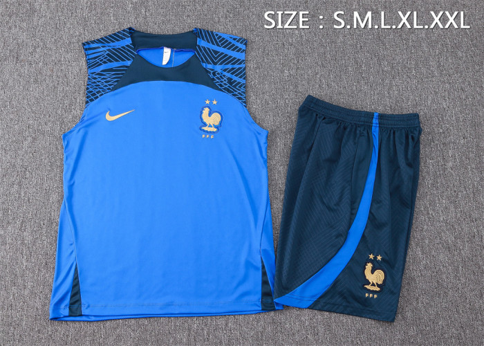 France Training Jersey 23/24