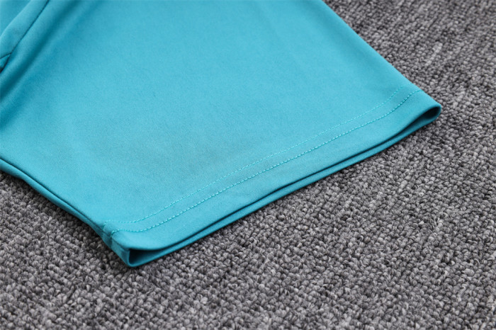 Palmeiras POLO Jersey 23/24