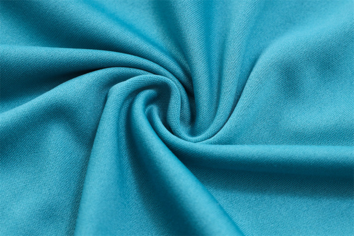 Palmeiras POLO Jersey 23/24