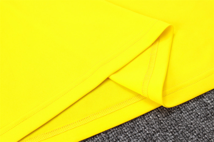 Borussia Dortmund POLO Jersey 23/24