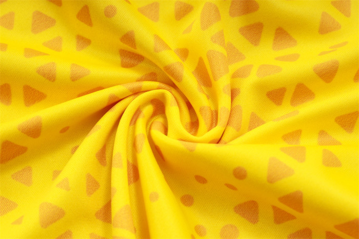 Borussia Dortmund Training Jersey 23/24