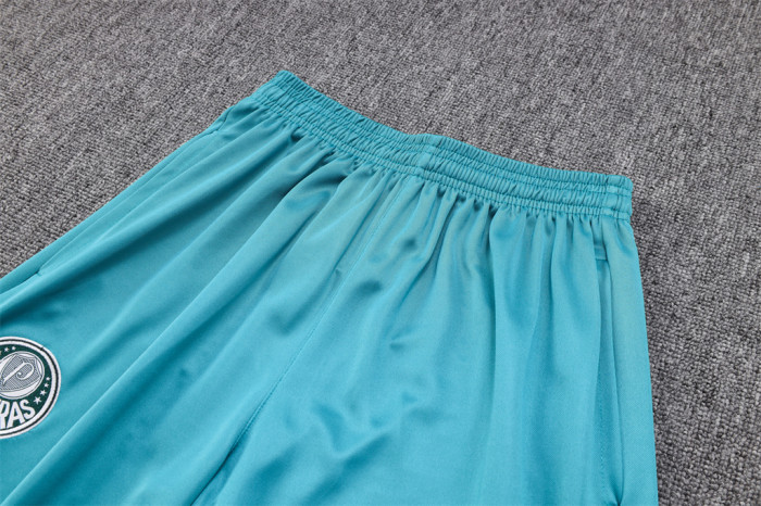 Palmeiras POLO Jersey 23/24