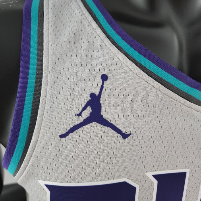 LaMelo Ball Charlotte Hornets Swingman Jersey Grey 2019