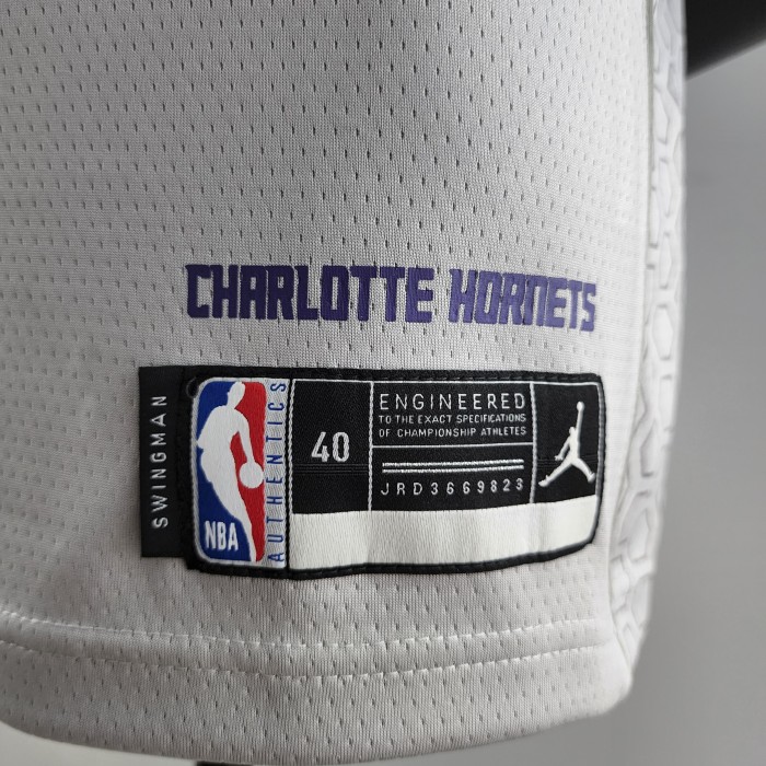LaMelo Ball Charlotte Hornets Swingman Jersey Grey 2019