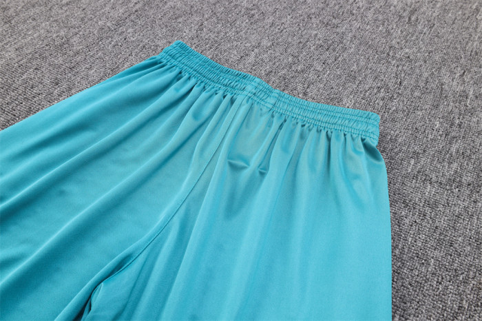 Palmeiras POLO Jersey 23/24