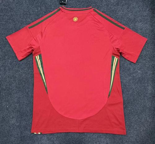 Wales Euro 2024 Home Man Jersey