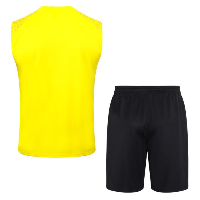 Borussia Dortmund Training Jersey 23/24