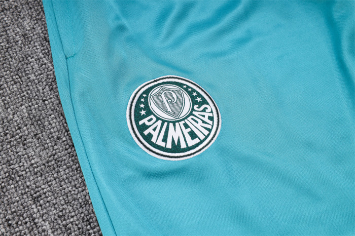 Palmeiras POLO Jersey 23/24