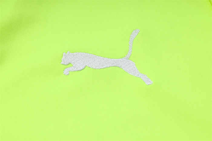 Palmeiras POLO Jersey 23/24