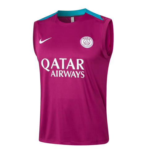 Paris Saint Germain Training Jersey 24/25