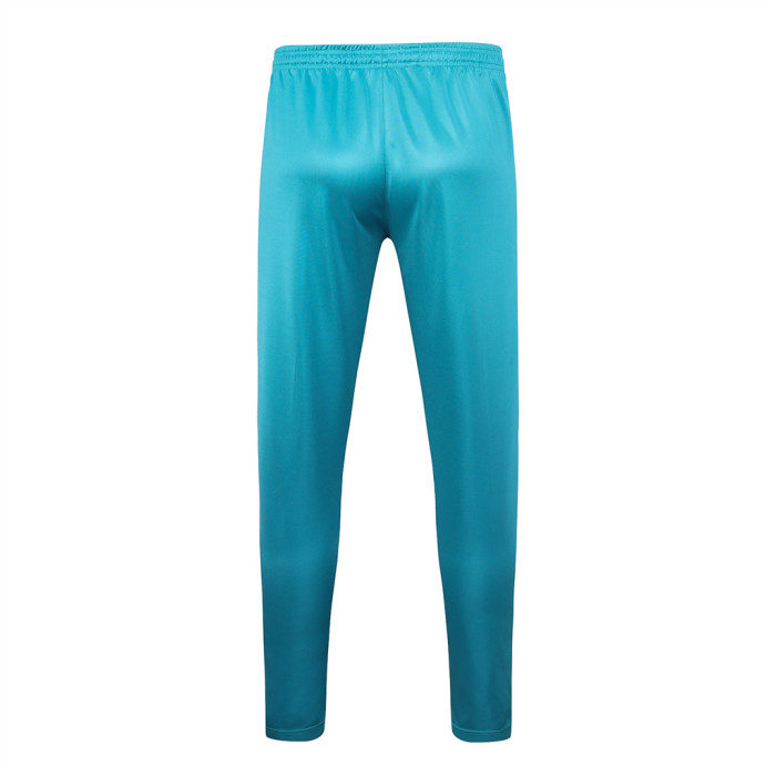 Palmeiras POLO Jersey 23/24