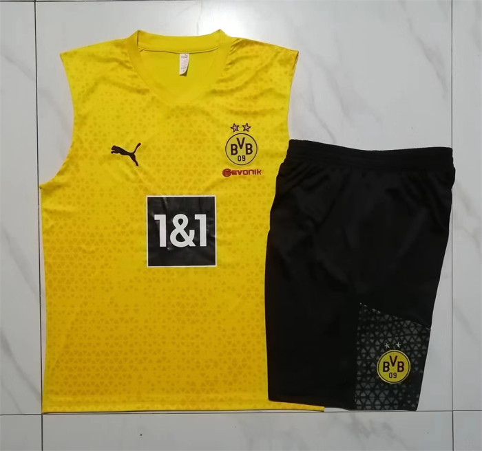 Borussia Dortmund Training Jersey 23/24
