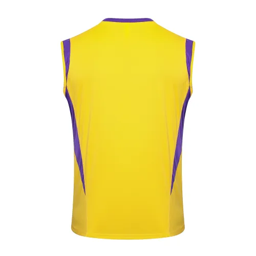 Real Madrid Training Jersey 23/24
