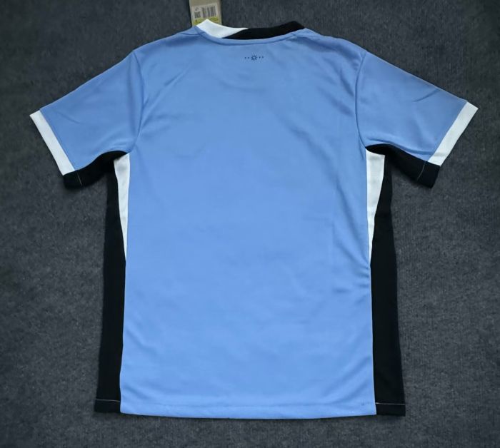 Uruguay 2024 Copa America Home Man Jersey