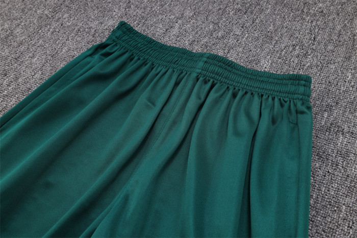 Palmeiras POLO Jersey 23/24