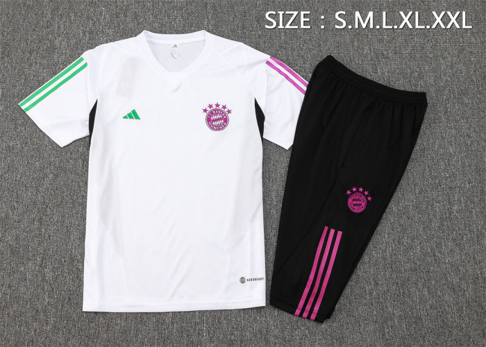 Bayern Munich Training Jersey 23/24
