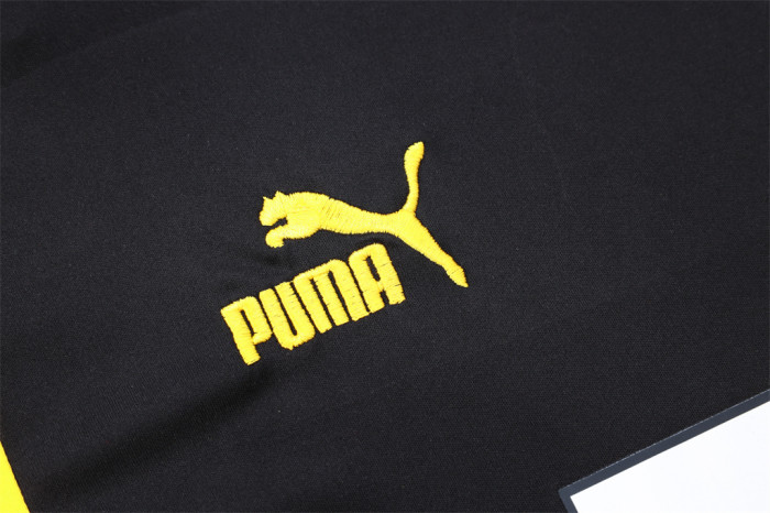 Borussia Dortmund Training Jersey 23/24