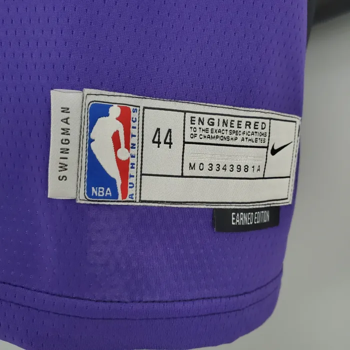 Fred VanVleet Toronto Raptors Bonus Edition 2020/21 Swingman Jersey Black and Purple