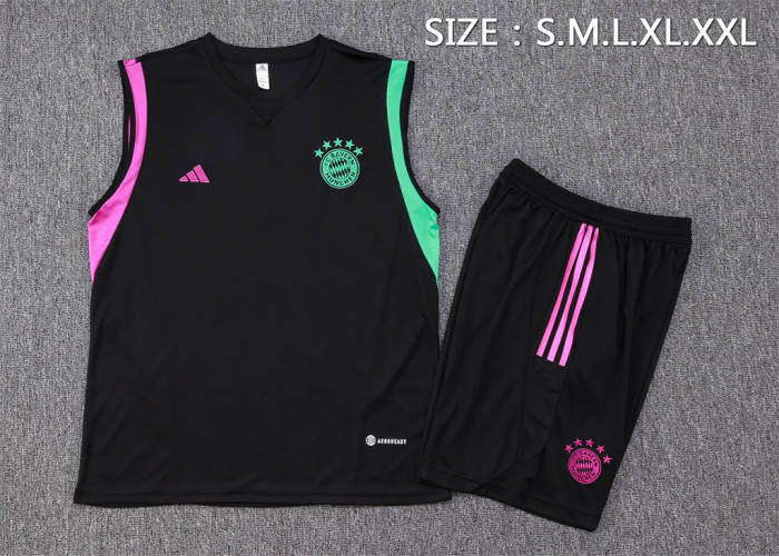 Bayern Munich Training Jersey 23/24