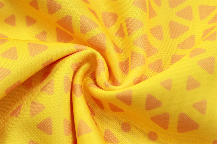 Dortmund Training Jacket 23/24