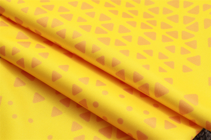 Dortmund Training Jacket 23/24