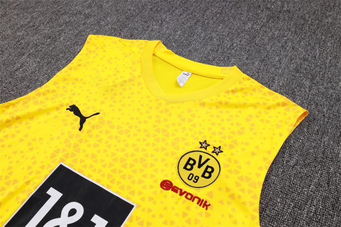 Borussia Dortmund Training Jersey 23/24