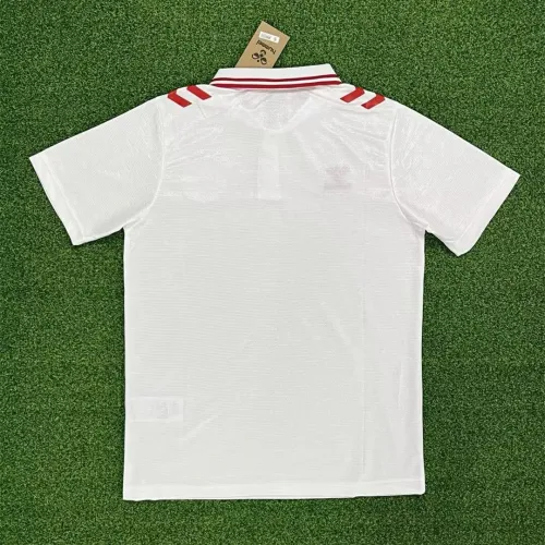 Denmark Euro 2024 Away Man Jersey
