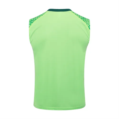 Palmeiras Training Jersey 23/24