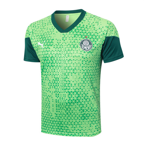 Palmeiras Training Short Sleeve Jersey 24/25