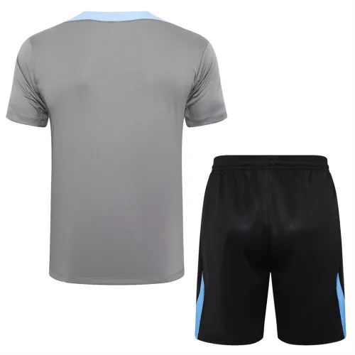 Tottenham Hotspur Training Short sleeve Suit 24/25