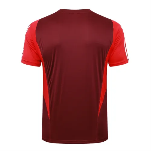 Internacional Training Short sleeve Jersey 24/25