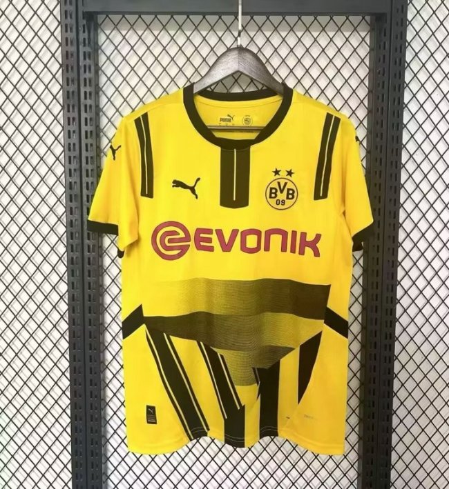 Borussia Dortmund Cup Men Jersey 24/25
