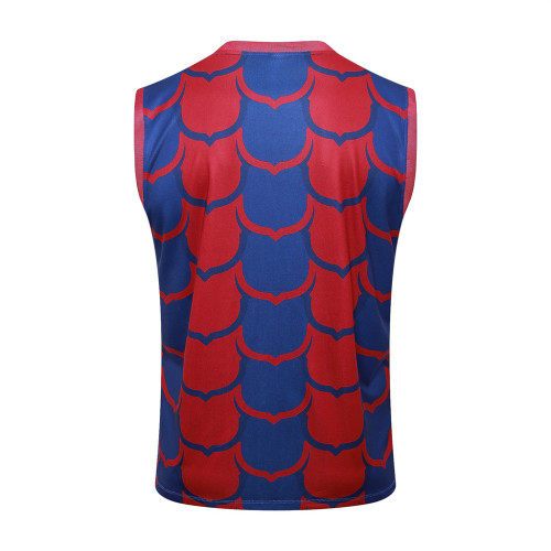 Barcelona Training Jersey 24/25