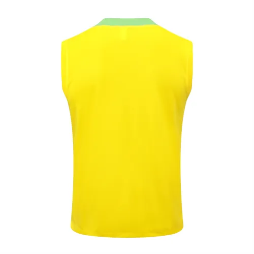 Brazil Training Jersey 24/25