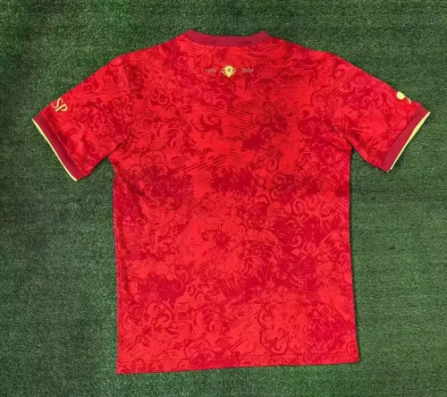 Spain 2024 Special Edition Man Jersey