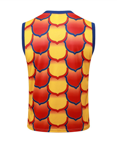 Barcelona Training Jersey 24/25