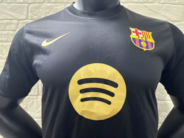 Barcelona Special Edition Player Jersey 24/25