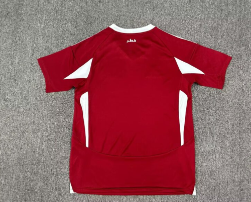 Qatar Home Man Jersey 24/25