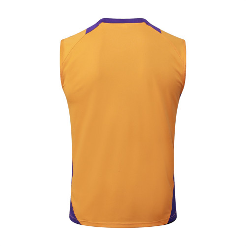 Real Madrid Training Jersey 24/25