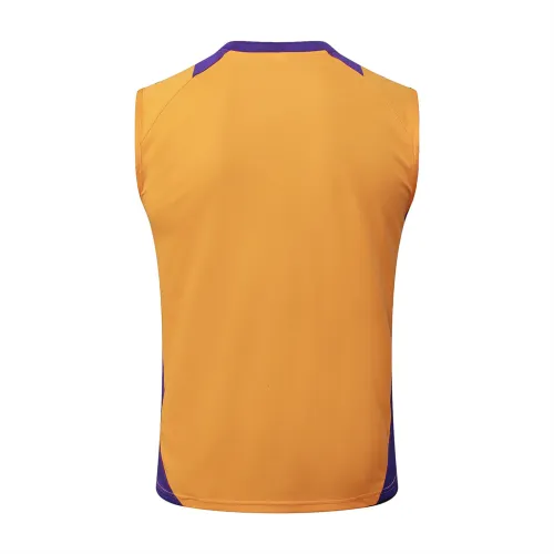Real Madrid Training Jersey 24/25
