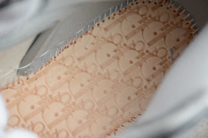 Dior x Air Jordan 1 High OG CN8607-002