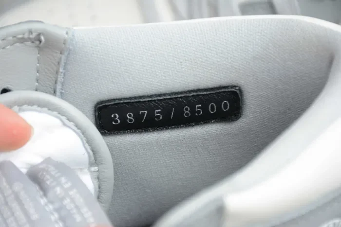 Dior x Air Jordan 1 High OG CN8607-002