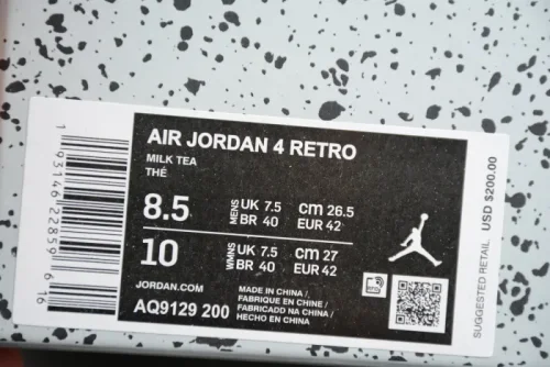 Air Jordan 4 Retro Rare Mushroom Fossil AQ9129-200